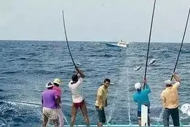 日照周末游|甩出一丝长钩，我在海洋牧场垂钓图片