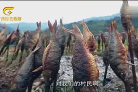 地道的烤田鱼必备3大野菜“蚂蚁菜 野芹菜 牛婆菜”真香视频封面