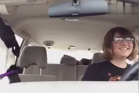 猫跟狗狗坐上汽车后的区别，你们这是来搞笑的？