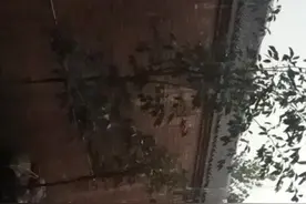 临漳下大雨了