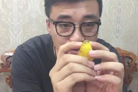水胆珀鉴别！「饰珍堂老卫」和老卫一起聊聊琥珀那些事！视频封面