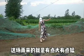 安徽阜阳连续两天下大雨，旱情缓解了吗？盈盈带你到地里看看视频封面