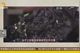 别随便吃！摘食路边野生木耳回家煮汤喝，夫妻中毒险些送命视频封面