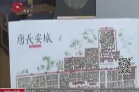 手绘地图《唐长安城》，108坊展现盛唐，这是你心中的长安吗