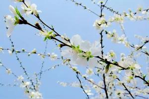 走进罗定|独特的亻能古话与罗定文化图