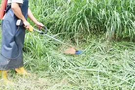大叔示范使用割草机，这个给力啊视频封面