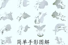 12种动物手影手势，1分钟，轻松学会，有孩子的赶紧练起来