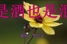 一首《是酒也是泪》好听至极了图片