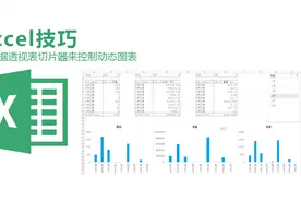 Excel技巧——不用控件不用函数就能轻松搞定动态图表？！原来数据透视表切片器还可以这么玩，长见识了视频封面