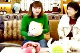 教您一招不用水就能把毛绒玩具清洗得跟新的一样，再也不用担心孩子与细菌作伴了