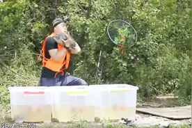 可能好多人都不知道 鱼在水中的力气究竟有多大呢？通过个实验你就能知晓了视频封面