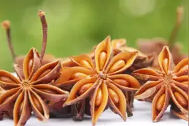 八角堆里挑出内鬼，过量食用可引起癫痫症状，甚至致死视频封面