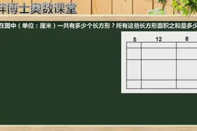 图中一共有多少个长方形，总面积多少？还只会用枚举法的同学哭了