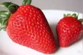 用了植物激素的水果有害吗？别再让农民背黑锅了！图片