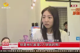 大娘一口咬定，宠物狗店不开空调，把“法斗犬”热死了！视频封面