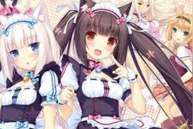 Steam危险了！《Nekopara》销量150万套，中国玩家过半图片
