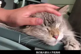 我希望尽一己之力，让更多人了解中国.#祖国请放心 #show出我的旅行日记 #vlog我的日常