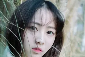 不畏惧，不悲欢图片