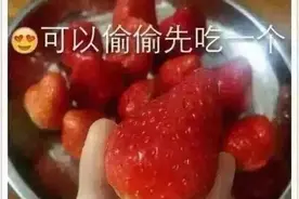 又快到了吃草莓奶昔的季节了，教你怎么在家里做草莓奶昔图片