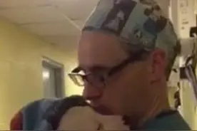 小狗狗因手术麻药退了而害怕呜咽哭泣，但兽医助手为它做了这件事图片