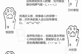 教你如何给喵星人看手相！图片