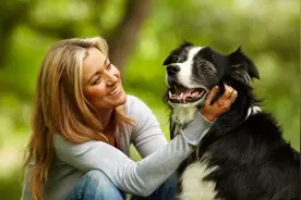 虾米?! 狗狗也有牙周病！图片