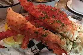 新西兰食肉记图片