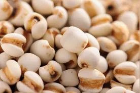 薏米有什么药用功效 薏米食疗菜谱推荐图片