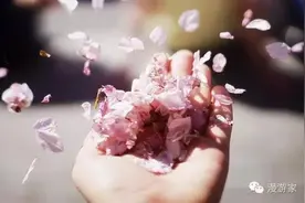 张小娴： 谢谢你离开我图片