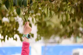 把安全放在首位 让孩子得到呵护——360儿童手表3s简测图片