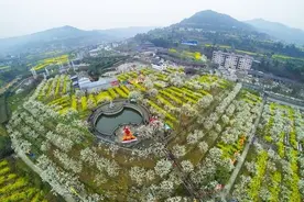 给你一个3月18日去苍溪的理由！图片