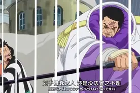 大将藤虎砍不断鸟笼，尾田真的能自圆其说吗？图片