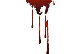 十年牌商，讲述最真实的泰国佛牌内幕3图片