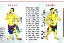 跟我学中医 | 什么是十二经别？图片