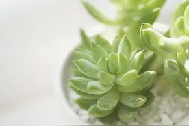 超级经典个性说说  唯美情感语录图片