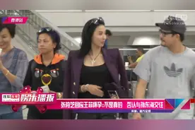 张柏芝回应王菲怀孕，不是真的否认与孙东海交往视频封面