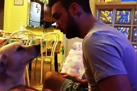 狗狗犯错被主人训，狗狗做出了惊人举动请求原谅，主人瞬间心软了图片