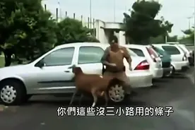 开挂的印度工人高空作业都没防护 三轮车玩漂移撞驴......图片