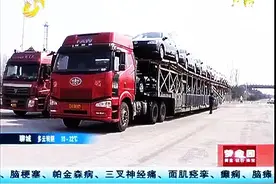 超长20米，巨无霸大货车高速被查视频封面