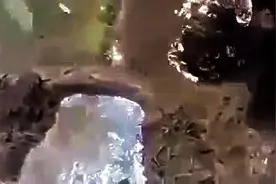 水边挖个小坑，鱼儿自动往里跳，这是什么原理图片