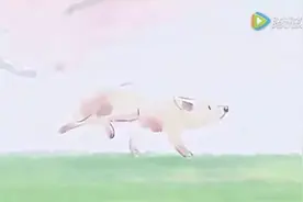 来说一说你喜欢的那个人