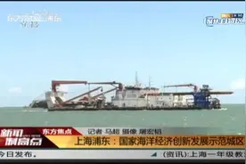 新闻制高点丨上海浦东：国家海洋经济创新发展示范城区获批视频封面