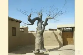 大西北剿匪记拍摄地——兰州新区影视城视频封面