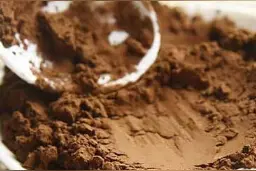 灵芝孢子粉的功效 灵芝孢子粉的食用方法图片