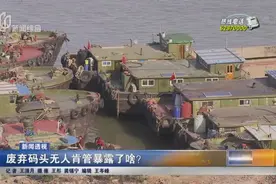 徐汇滨江一码头常年噪音废气扰民 废弃多年无人肯管图片