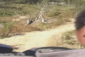 贵州农村人这样骑摩托回家，贵州人真牛，这样的山路你可能从来没有走过视频封面