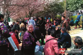 老有所乐，好有味--怀化城区老年人的精彩图片
