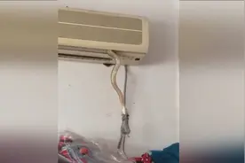 吓出汗！家中空调出风口现长蛇叼着老鼠进出视频封面