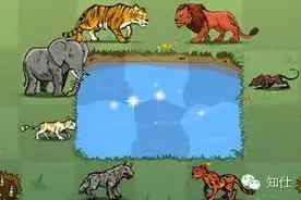 起亚KX5能否赢得这一局斗兽棋图片