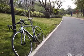 历尽艰辛功夫不负有心人！漫长的cannondale购买之路图片
